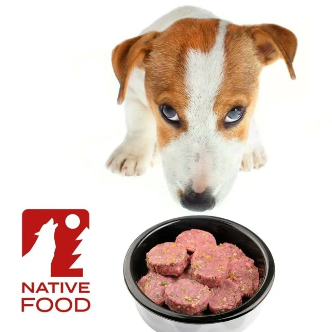 BARF Fitt® kuřecí kompletní krmivo, mražené dogety 2,5 kg