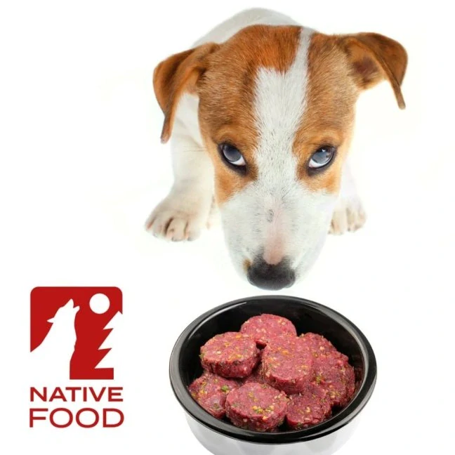 BARF Fitt® hovězí kompletní krmivo, mražené dogety 2,5 kg