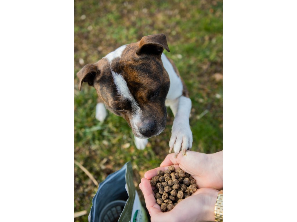 Kostky s hovězí svalovinou a rýží 2 Kg