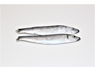 Šproty celé nekuchané 1kg
