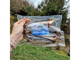 Sardinky 0,5 Kg